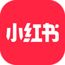 女士袜子种类